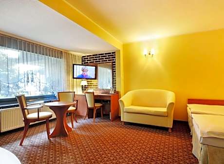 Standard Single Room