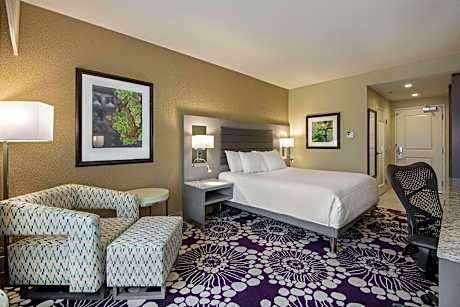 1 King Bed