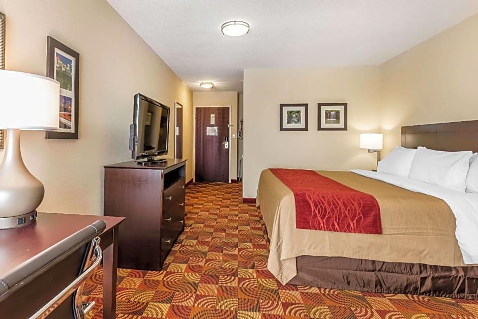 Comfort Inn & Suites Jasper Hwy 78 West