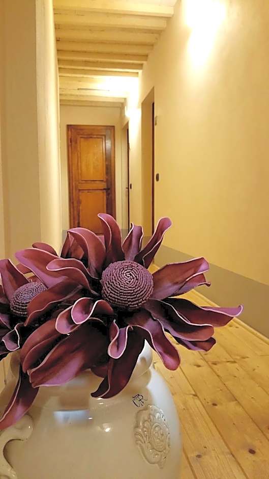 Scalette di Piazza B&B