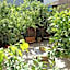 Il Giardinetto Guest House