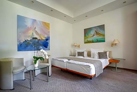 Superior Single Room