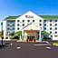 Hilton Garden Inn Tampa Northwest/Oldsmar