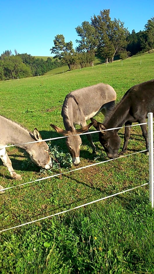 Ötscherblick Fam Winter