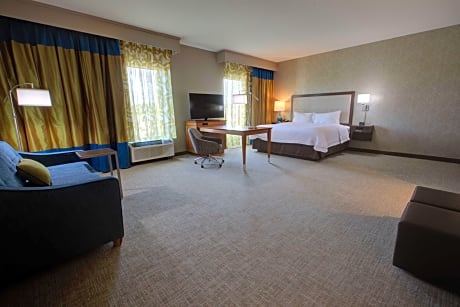 1 King Mobility Access Ri Shwr Studio Nosmok