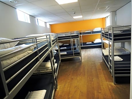 Single Bed in 10-Bed Dormitory Room