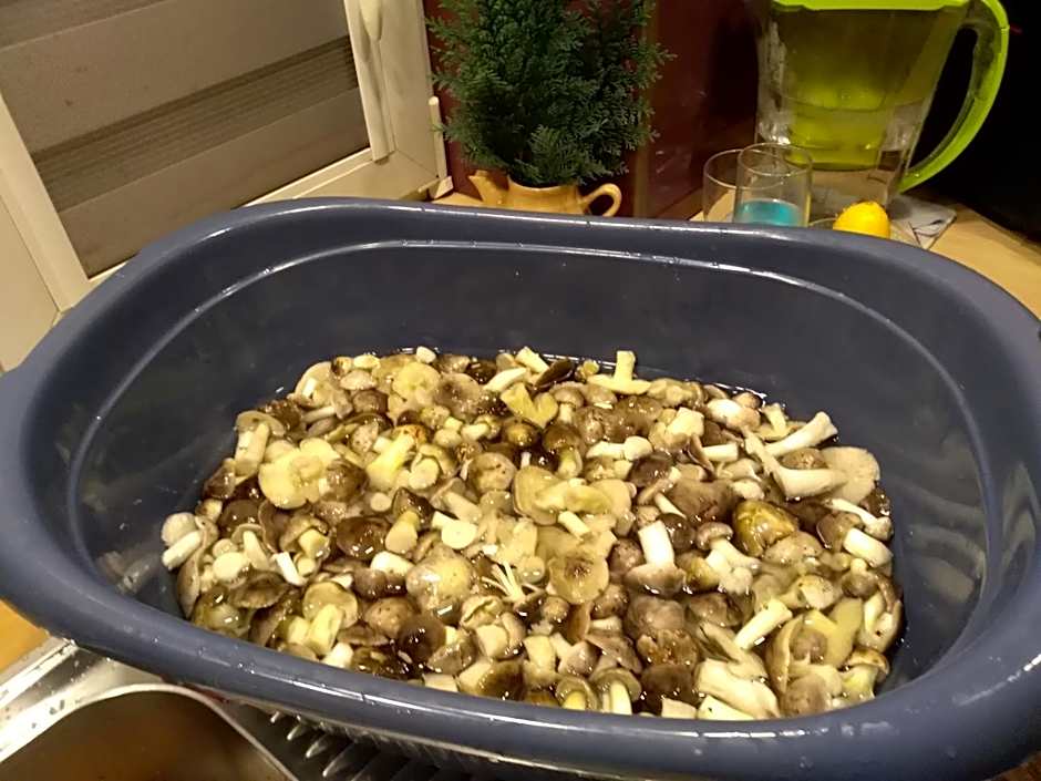 Uroczysko Ludwinowo na Podlasiu