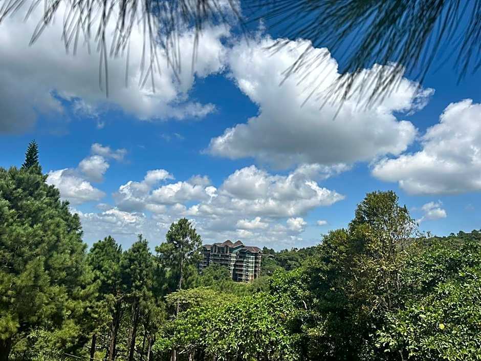 Crosswinds Family Standard Suite