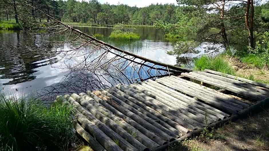 Ostoja Sosnowa Czarny Mlyn, kompleks dwóch domkow