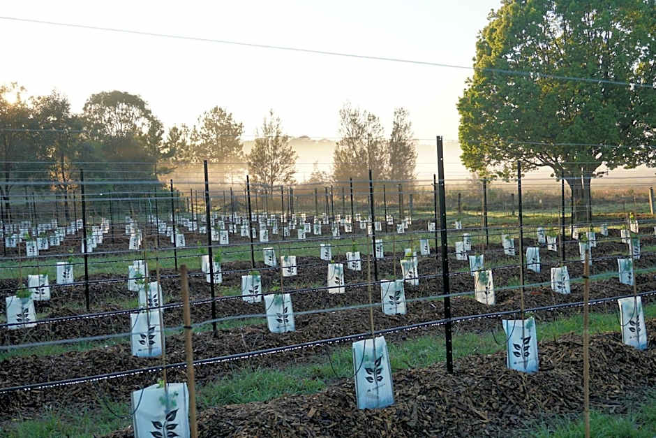 Narangba Motel (formerly Brisbane North B&B and Winery)