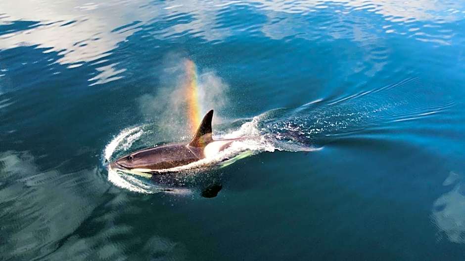 Smaken av Ryfylke Event AS overnatting, Bygningen drives ikke som hotell