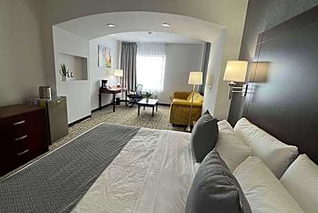 1 King Bed Junior Suite Non-Smoking