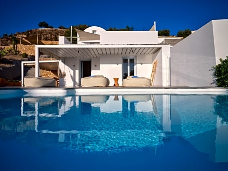 CACTUS WITH SEA VIEW AND PRIVATE OUTDOOR HEATED INFINITY POOL