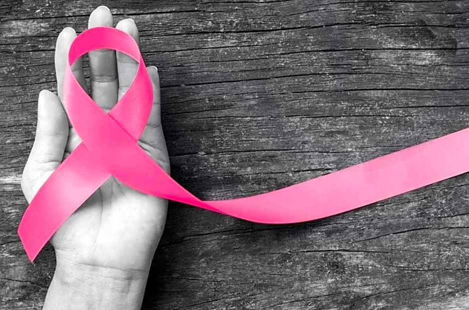 Demeures & Château - Fleur de Roques - Puisseguin Saint Emilion