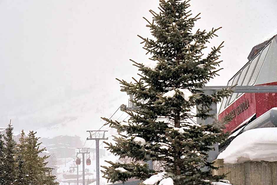 Waldorf Astoria By Hilton Park City