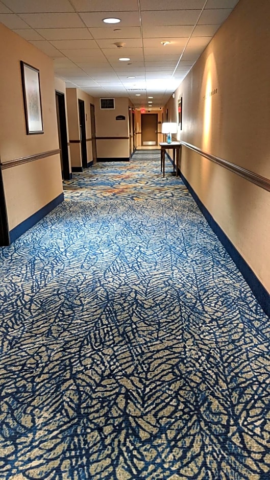 Best Western Plus Henderson Hotel