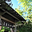 Nonohanatei komurasaki