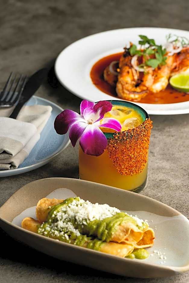 Hollywood Volume, a Tribute Portfolio Hotel