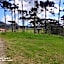 Cabanas das Araucárias