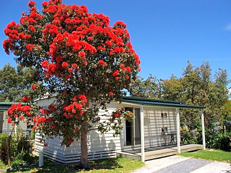 Family Room Max 12 Years of age in Bunk