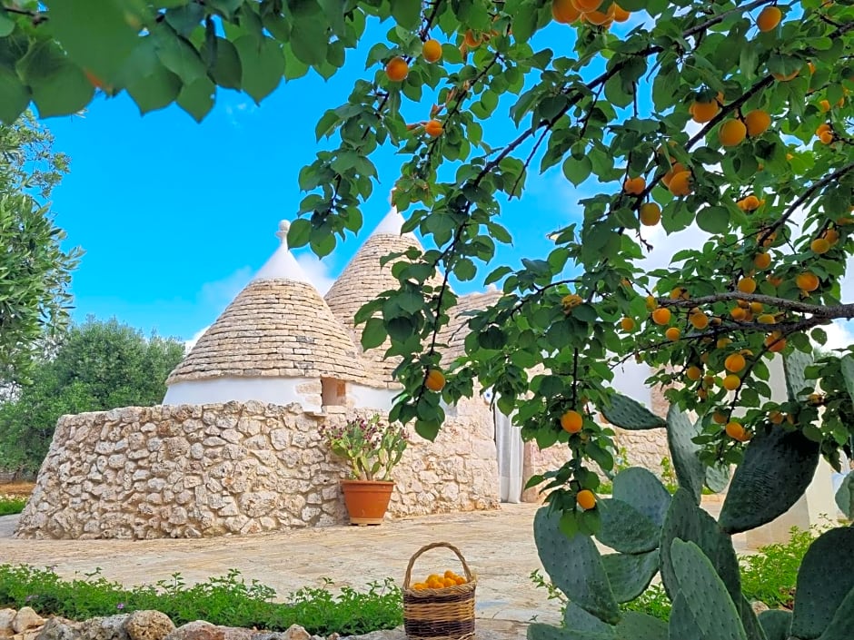 I Trulli Di Spinaruta