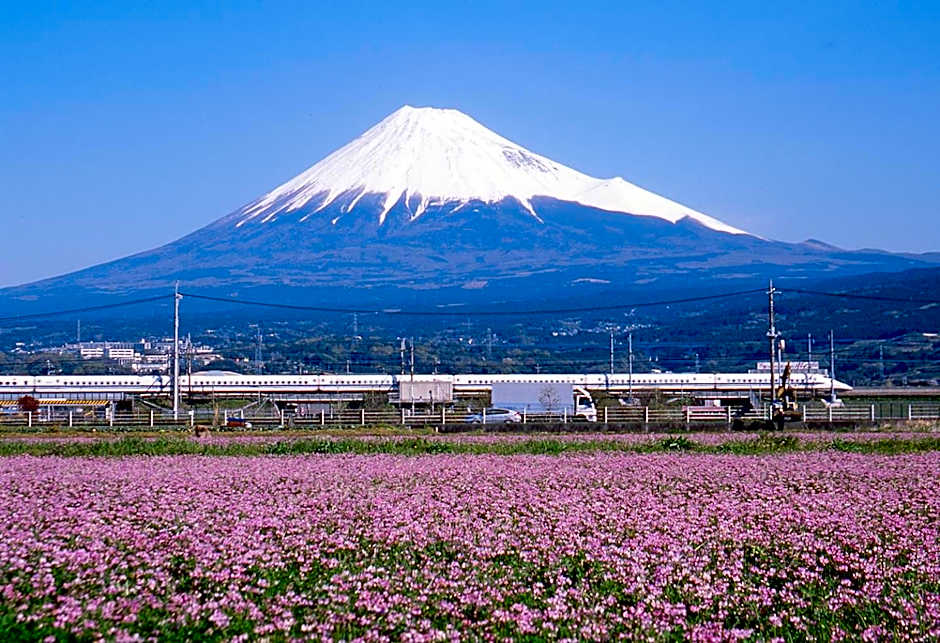 Business Hotel Sunpu