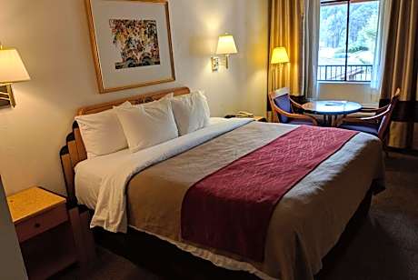 1 King Bed Non-Smoking