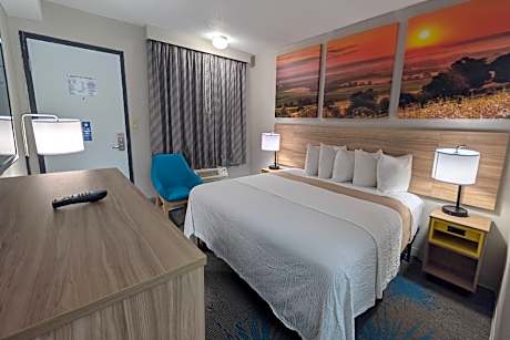 1 King Bed Non-Smoking