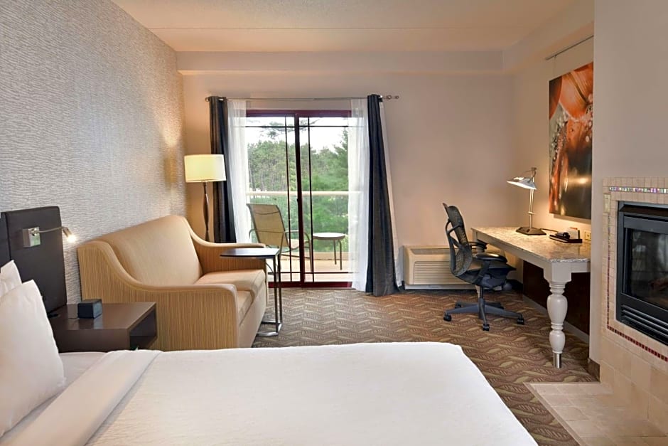 Hilton Garden Inn Wisconsin Dells