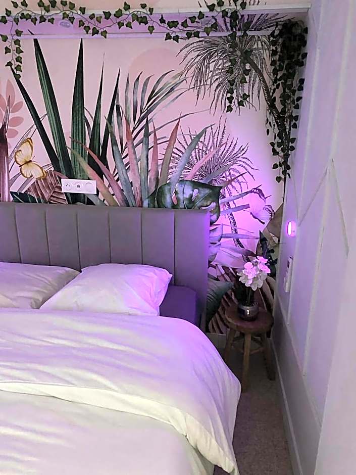 L'appart'hôtel 23ème avenue - Spa privatif - Love room - Appartements à thèmes