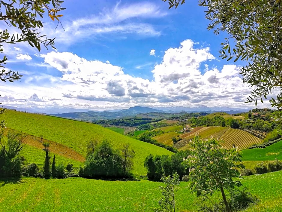 La mia Casa nelle Marche