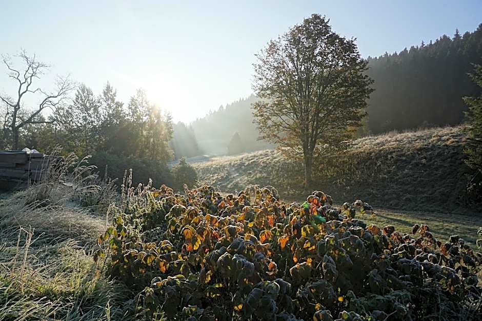 Gasthaus Stollmühle