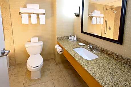 Standard King Room - Accessible