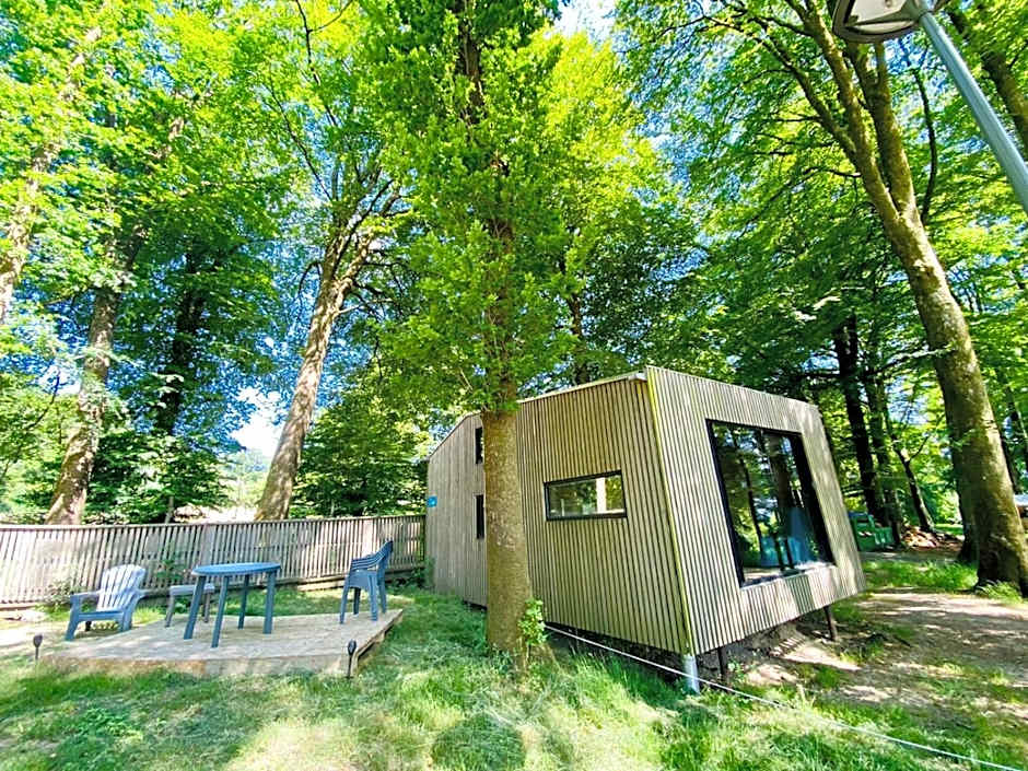 L'étape en forêt