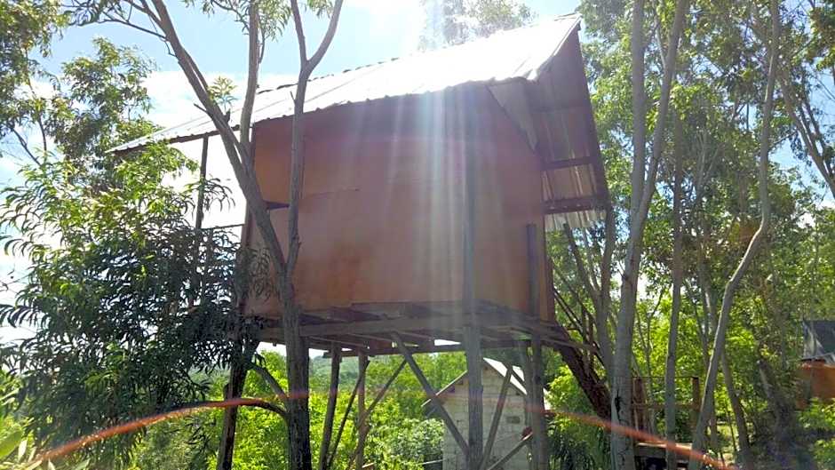 Rumah Pohon