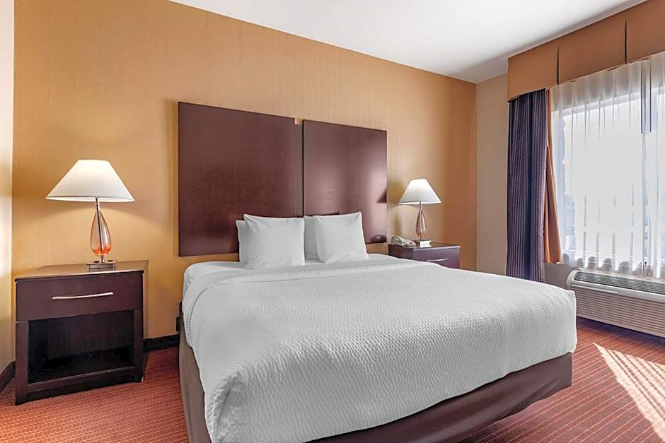 Best Western Plus Dfw Airport West Euless