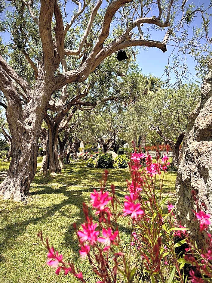 Hotel Boutique Ideal