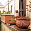 B&B Demetra Appartamenti