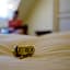 Hotel Zum Adler
