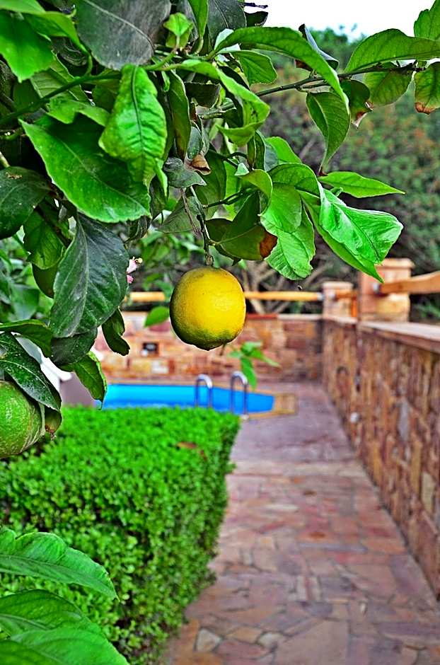 Mastiha Villas in Town