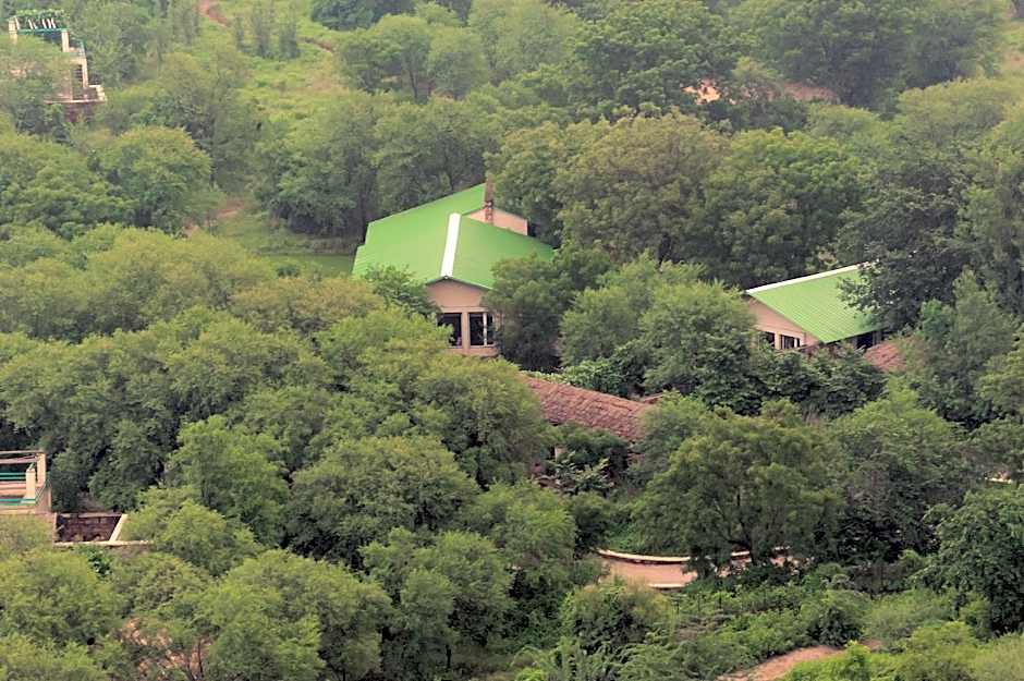 Trees N Tigers Luxury Wildlife Lodge