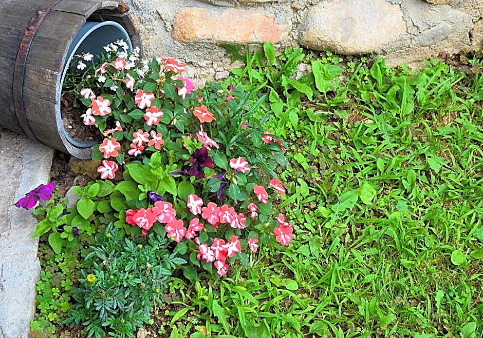 Family Hotel Dinchova kushta