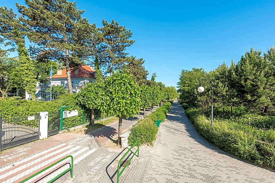 Meduza Sopot