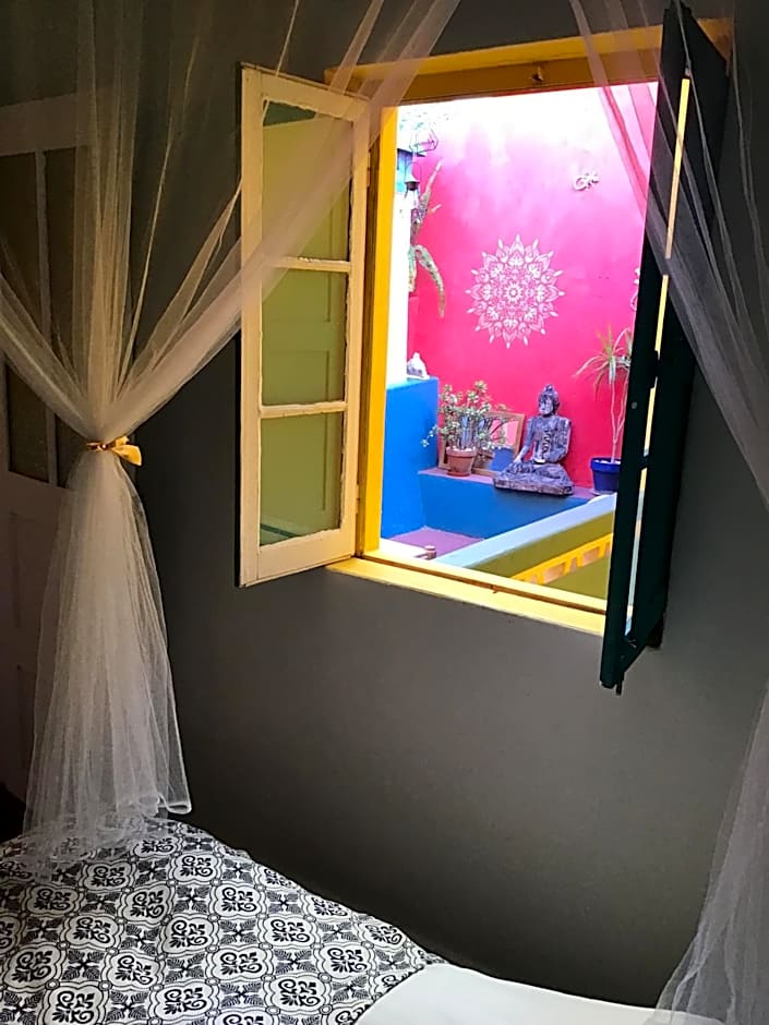 Buddha Bee - 18 to 35 years old only