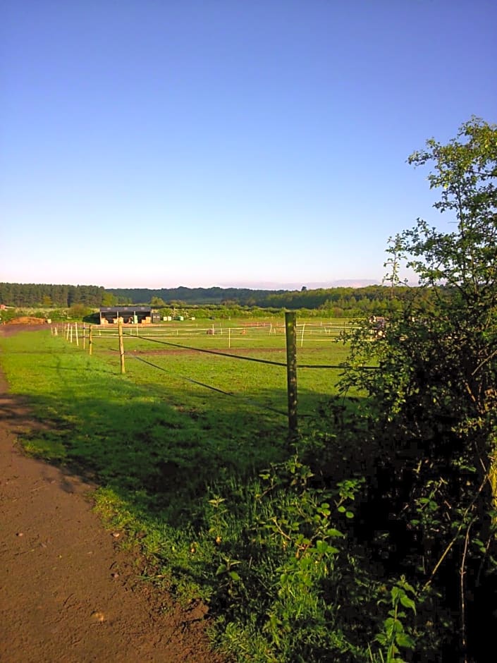 Clumber Lane End Farm