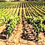 Baglio Caruana Cantina & Relais