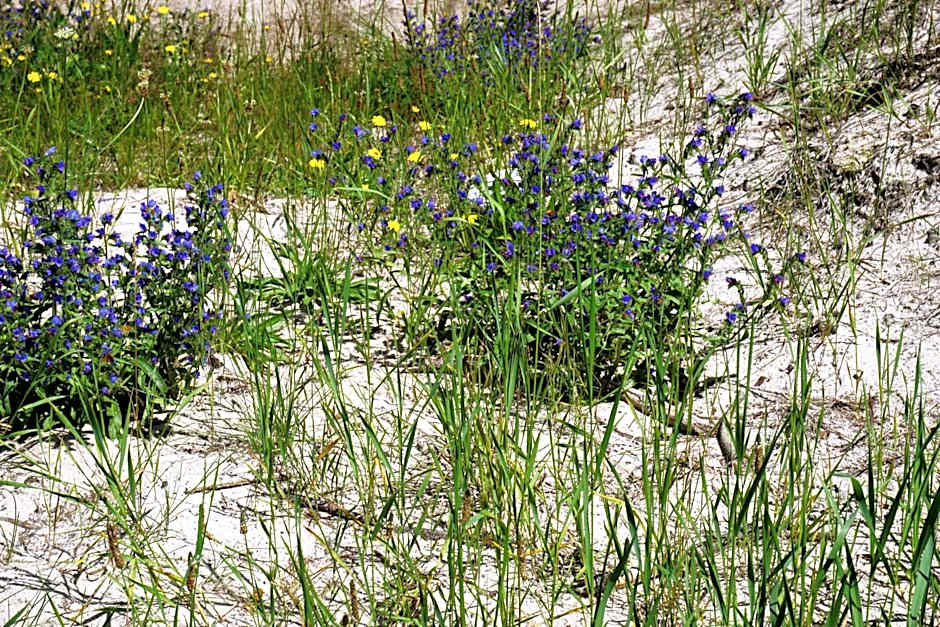 Laguna Kompleks Wypoczynkowo Rekreacyjny