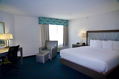 Deluxe One-Bedroom King Suite - Non-Smoking