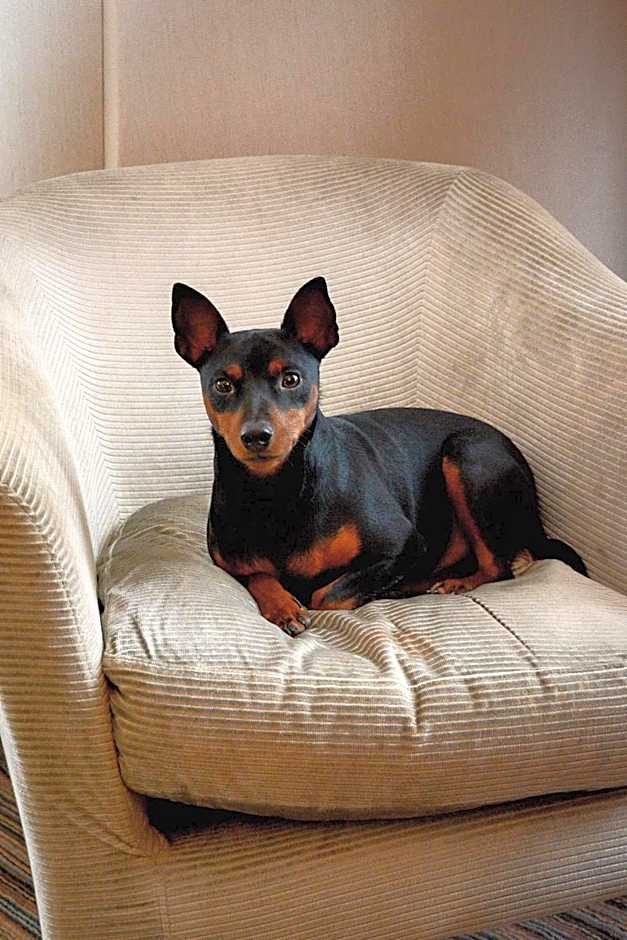 Hotel France D'Antin