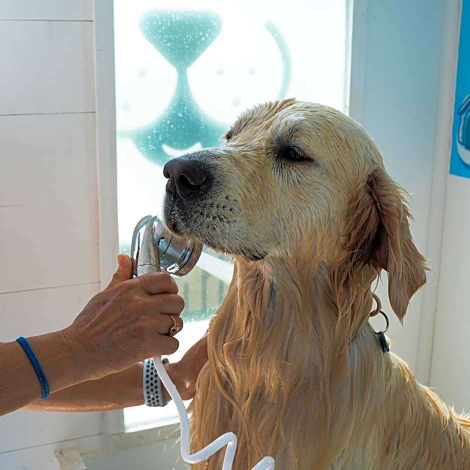 Hotel dei Bizantini & Villaggio Campo dei Messapi